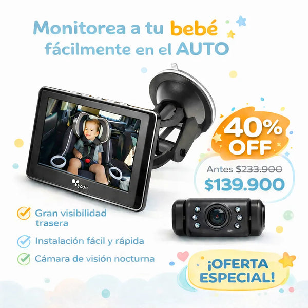 Camara bebe carro